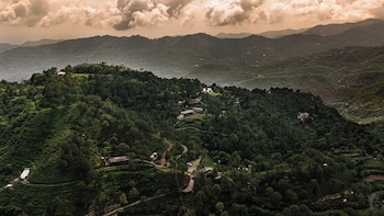 amaya kasauli