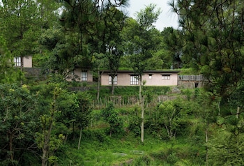 amaya kasauli