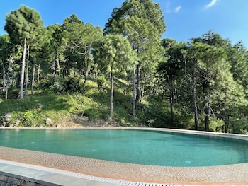 amaya kasauli