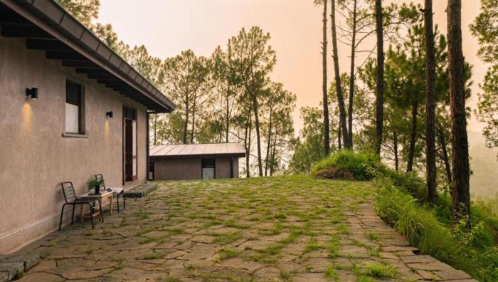 amaya kasauli