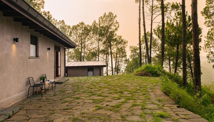 amaya kasauli