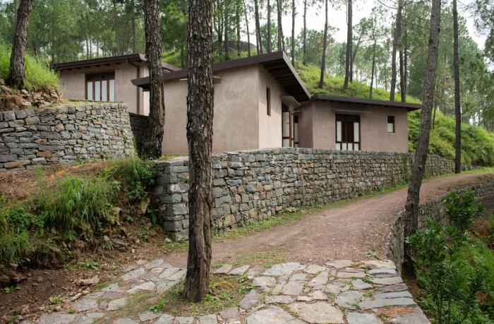 amaya kasauli