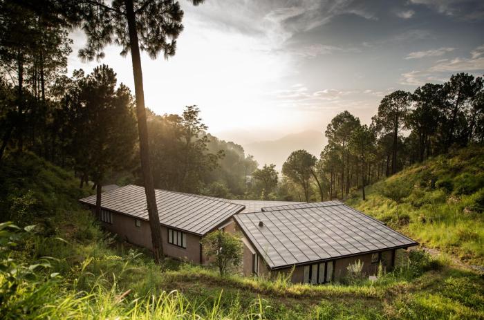amaya kasauli