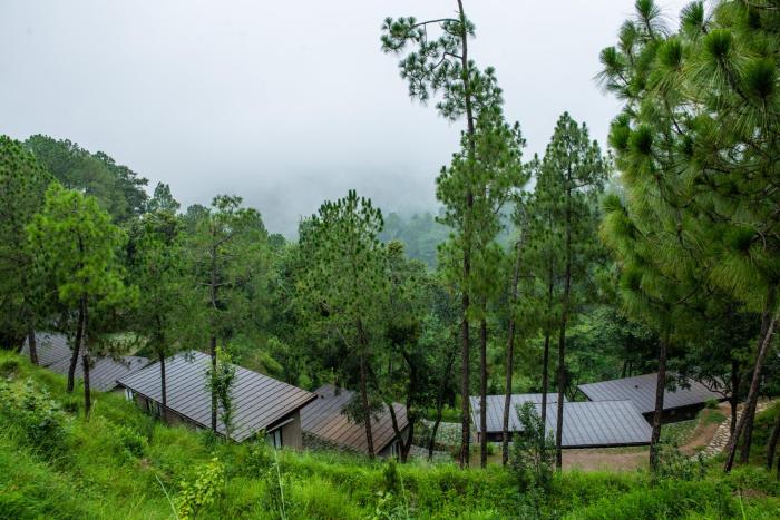 amaya kasauli