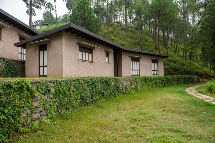 amaya kasauli
