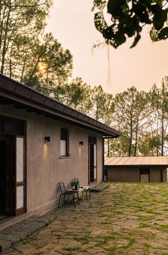 amaya kasauli