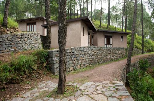 amaya kasauli