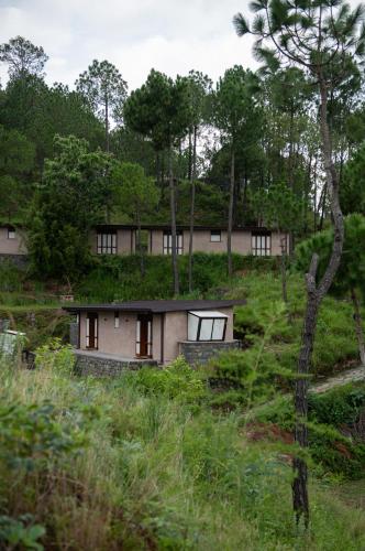 amaya kasauli