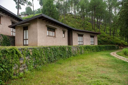 amaya kasauli