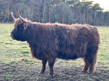 glen lyon lodge bed and breakfast