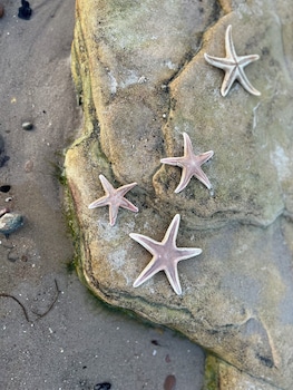 glen lyon lodge bed and breakfast