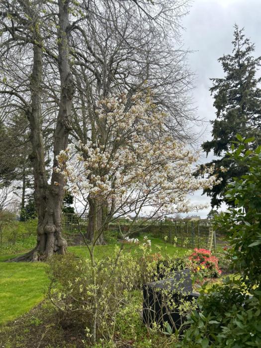 glen lyon lodge bed and breakfast