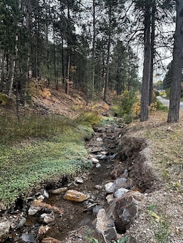 Ponderosa Pines,,2 star