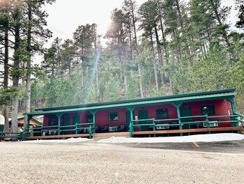 ponderosa pines