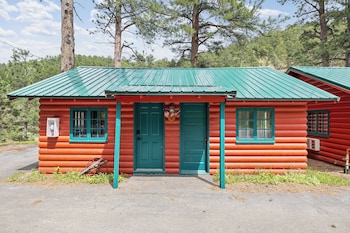 ponderosa pines