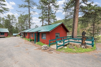 ponderosa pines