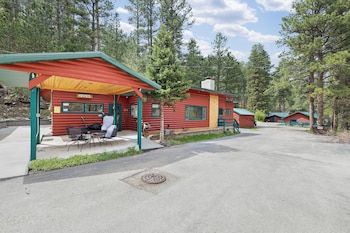 ponderosa pines