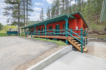 ponderosa pines