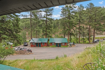 ponderosa pines