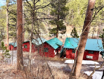 Ponderosa Pines,,2 star