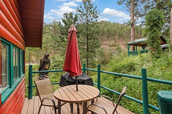 ponderosa pines