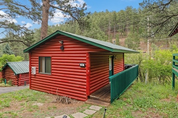ponderosa pines