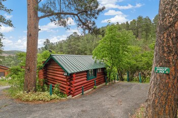 ponderosa pines