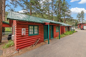 ponderosa pines