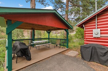ponderosa pines