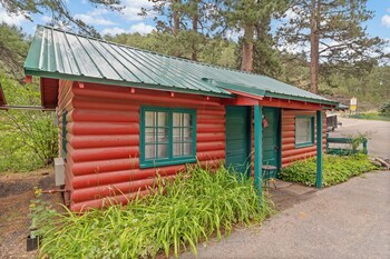 ponderosa pines