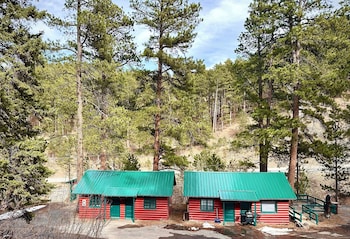 ponderosa pines