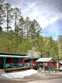 ponderosa pines