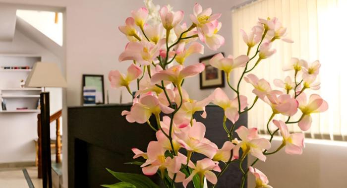 gomang boutique hotel