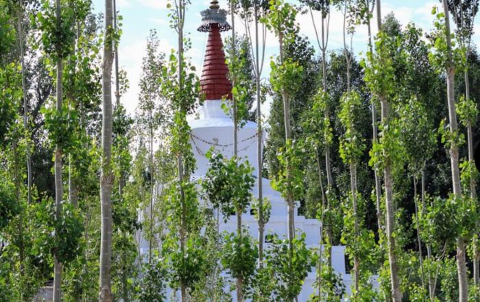 gomang boutique hotel