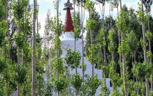 gomang boutique hotel