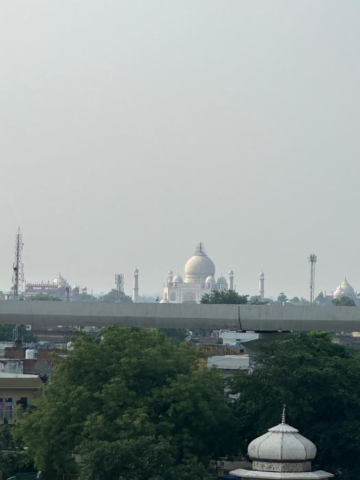 hotel the golden bird