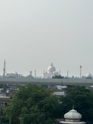 hotel the golden bird