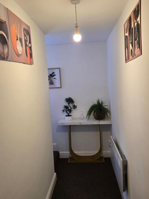 luxury stylish charming city apartment with private entrance in wolverhampton