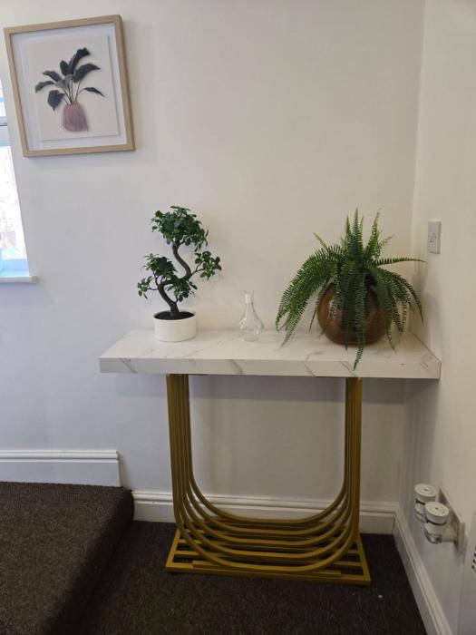 luxury stylish charming city apartment with private entrance in wolverhampton