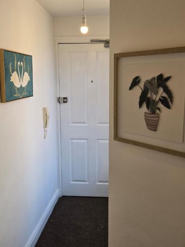 luxury stylish charming city apartment with private entrance in wolverhampton