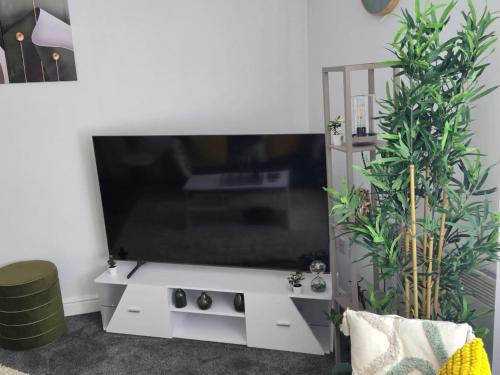 luxury stylish charming city apartment with private entrance in wolverhampton