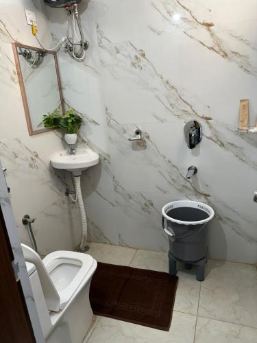 hotel apex inn shamshabad