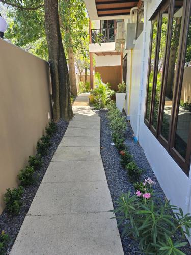 blue palm residence kata