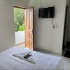 celestia residency