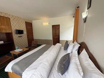 hotel alpine himalayan view manali