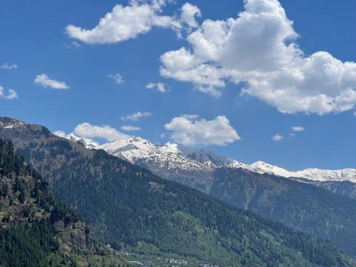 Hotel Alpine Himalayan View  Manali,,2 star