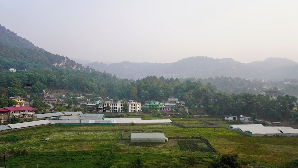 nakshville