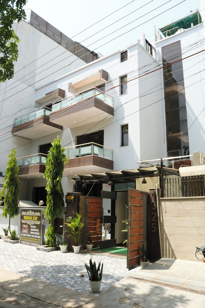 vinayak stay sector 43