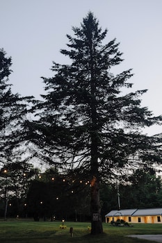 camp deforest