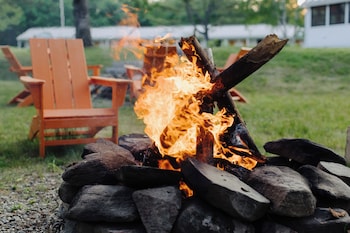camp deforest